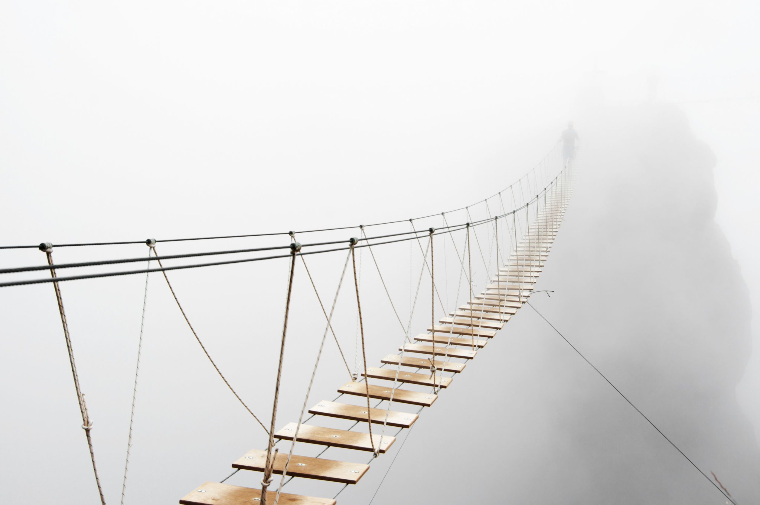 Risk Management Professional
